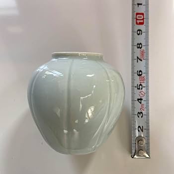 Amazon.co.jp: 蔵出し 茶道具 朴 仁源先生作 白磁阿古侘茶入